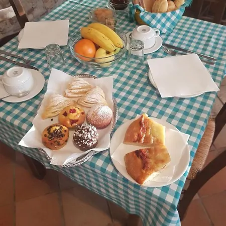 Vidalli Colvidor * Vidor