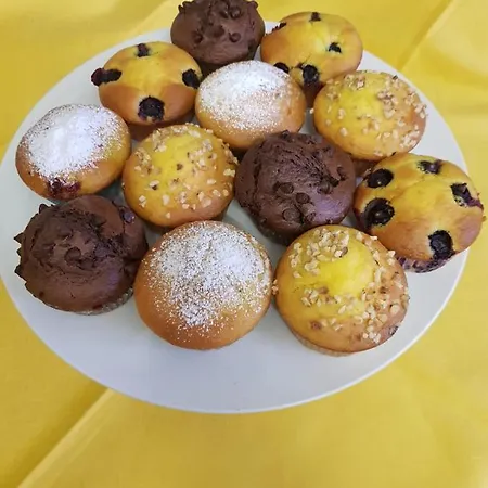 Фермерский дом Vidalli Colvidor Vidor