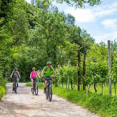 Фермерский дом Vidalli Colvidor