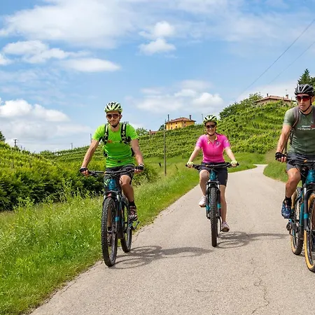 Vidalli Colvidor Фермерский дом *