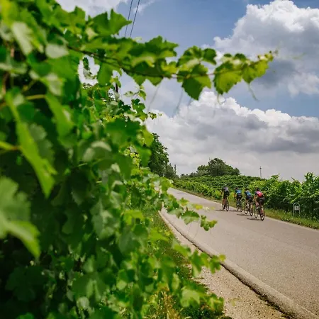 Vidalli Colvidor Farmház